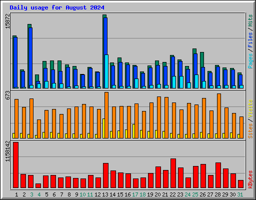 Daily usage for August 2024