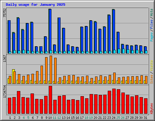 Daily usage for January 2025