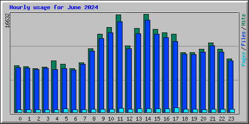 Hourly usage for June 2024