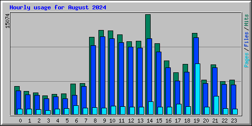 Hourly usage for August 2024