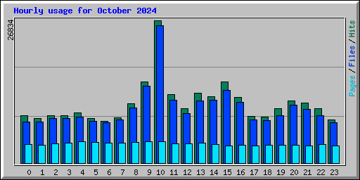 Hourly usage for October 2024