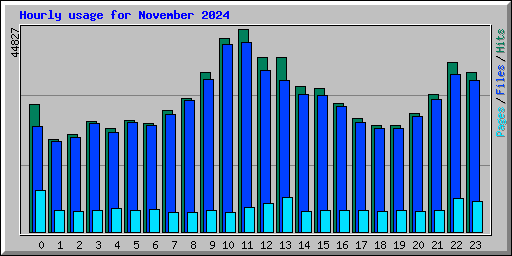 Hourly usage for November 2024