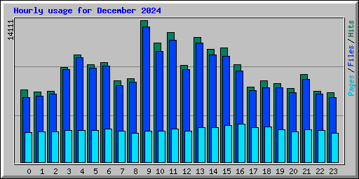 Hourly usage for December 2024