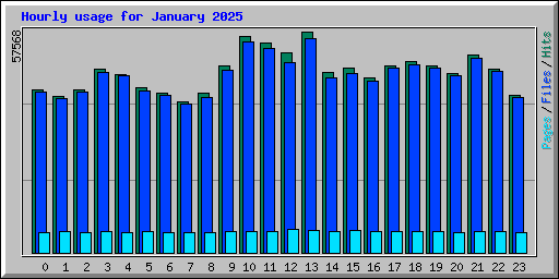 Hourly usage for January 2025