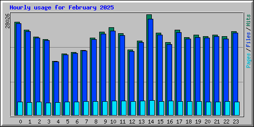 Hourly usage for February 2025