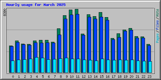 Hourly usage for March 2025