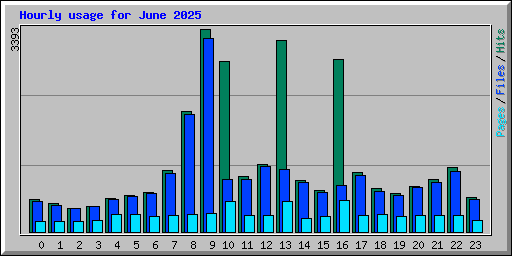 Hourly usage for June 2025