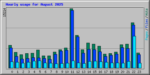 Hourly usage for August 2025