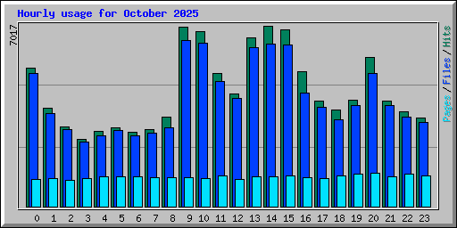 Hourly usage for October 2025