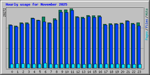 Hourly usage for November 2025