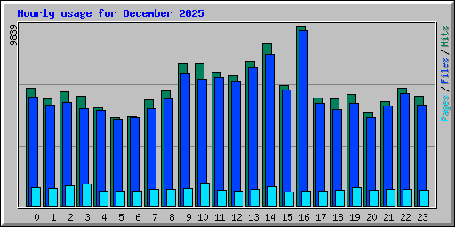 Hourly usage for December 2025