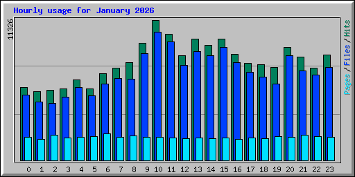 Hourly usage for January 2026