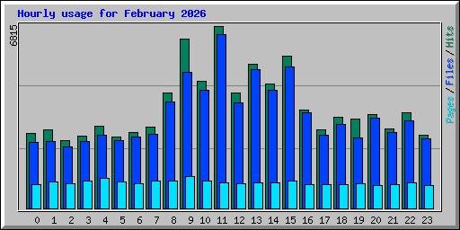 Hourly usage for February 2026